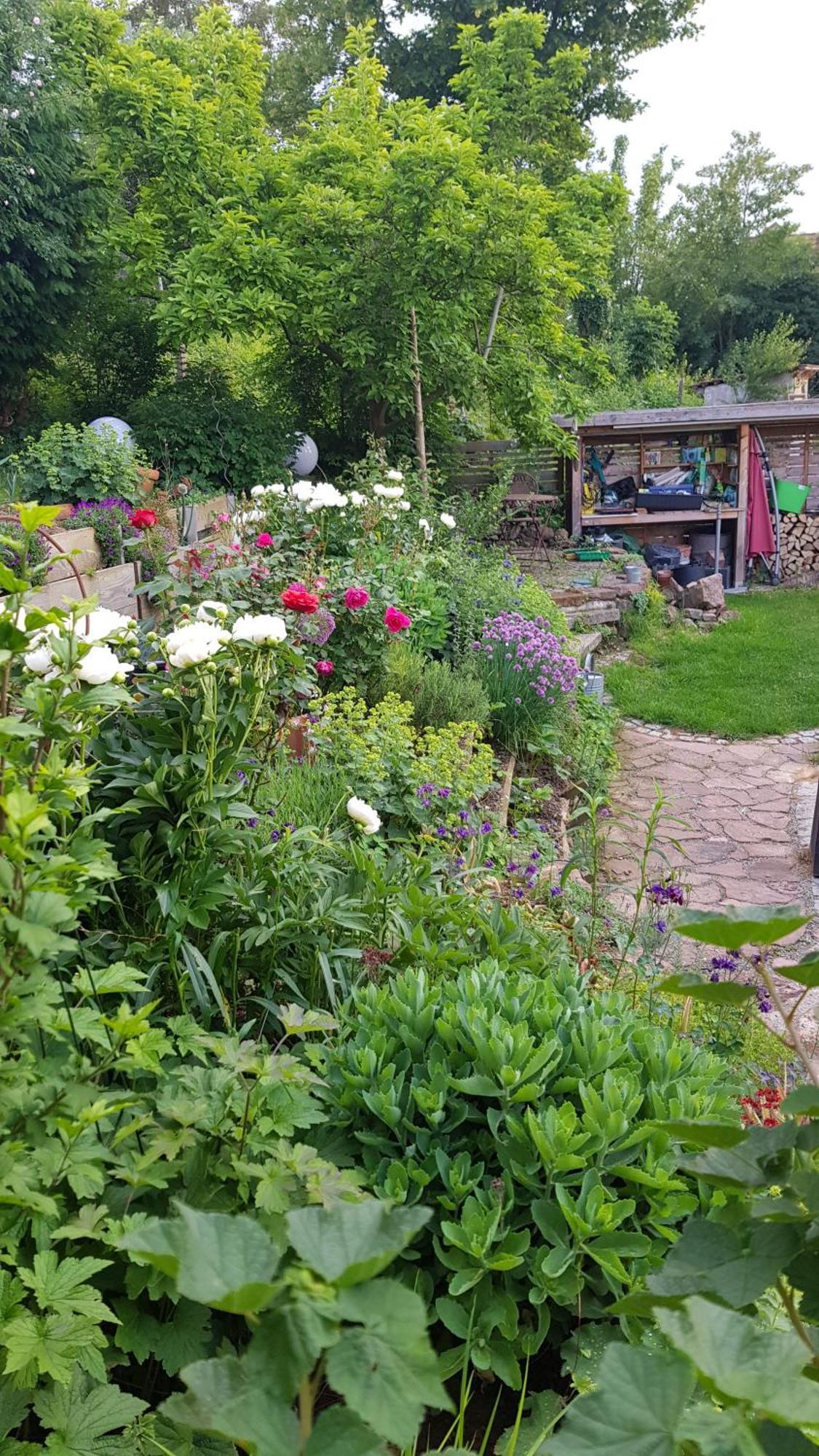Wohnung Mit Sauna, Garten & Schwimmteich Bietigheim-Bissingen Exterior foto