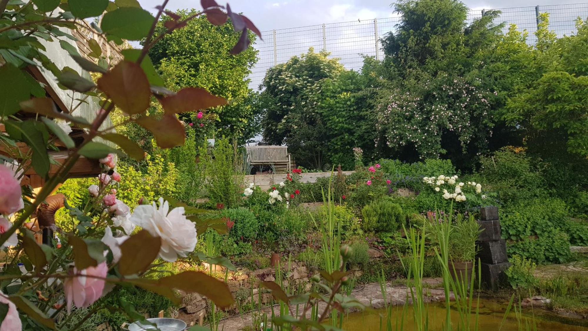 Wohnung Mit Sauna, Garten & Schwimmteich Bietigheim-Bissingen Exterior foto